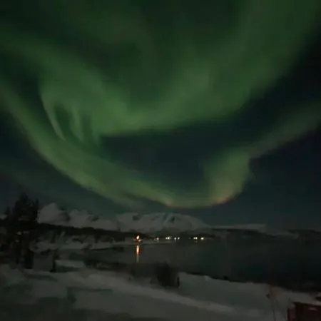 Finnvikhaugen Mestervik