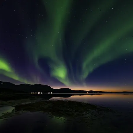 Finnvikhaugen * Mestervik