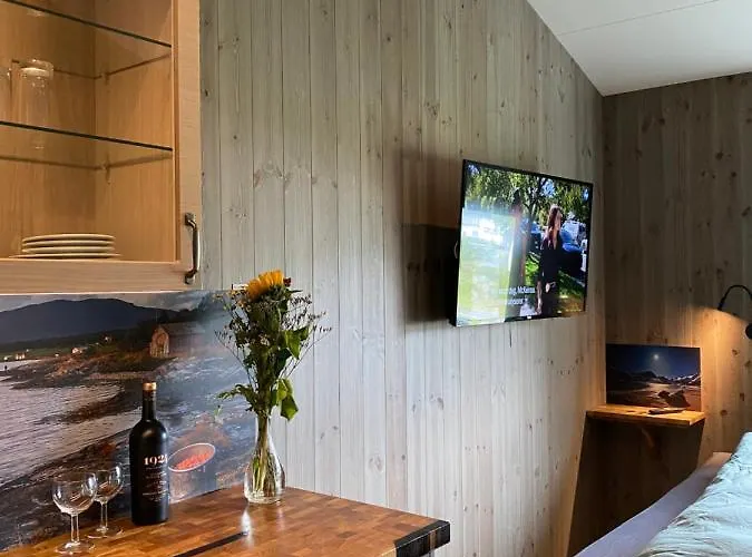 Finnvikhaugen Han/Misafirhane Mestervik