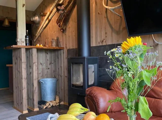 Finnvikhaugen Han/Misafirhane Mestervik