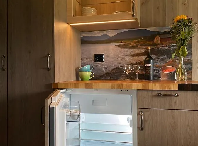 Han/Misafirhane Finnvikhaugen Mestervik