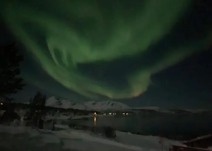 Finnvikhaugen Mestervik