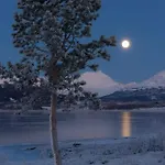 Zajazd Finnvikhaugen